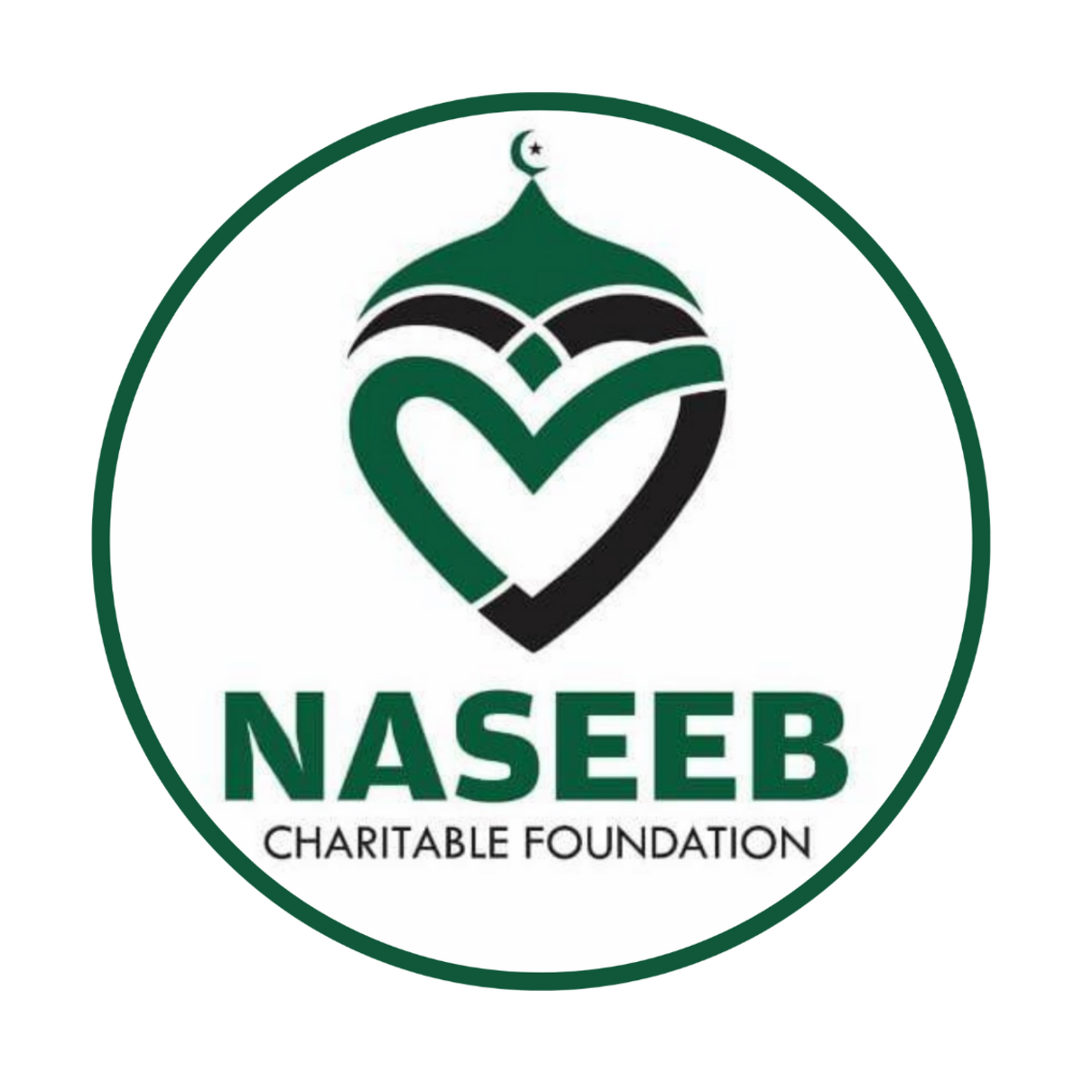 Organisation logo